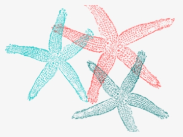 Transparent Starfish Clipart Png - Fish Clip Art, Png Download, Free Download