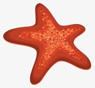 Starfish Cartoon Png, Transparent Png, Free Download