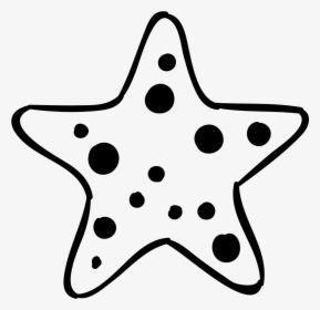 Starfish Clipart Transparent Background - Starfish Clipart Black And White, HD Png Download, Free Download