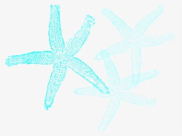 Transparent Teal Starfish Clipart - Fish Clip Art, HD Png Download, Free Download