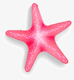 Pink Starfish Clipart Transparent Background, HD Png Download, Free Download