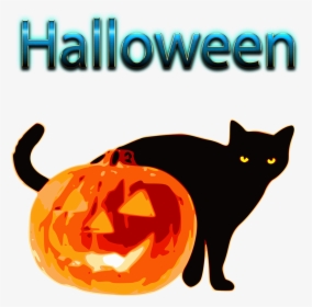 Halloween 2018 Png Pumpkin Cat - Jack O Lantern Png, Transparent Png, Free Download
