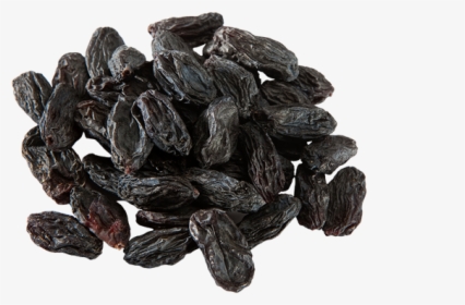 Raisin, HD Png Download, Free Download