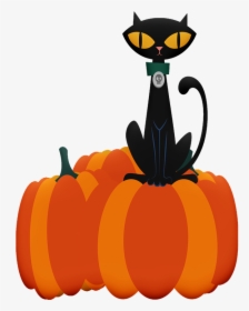 Halloween Cat, Halloween, Ghosts, Skulls, Pumpkins - Blavk Cat Pumkin, HD Png Download, Free Download