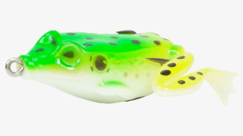 Anura Green - Frog, HD Png Download, Free Download