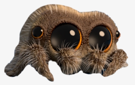 #lucas #lucasthespider #cute #spider #animal #insect - Lucas The Spider, HD Png Download, Free Download
