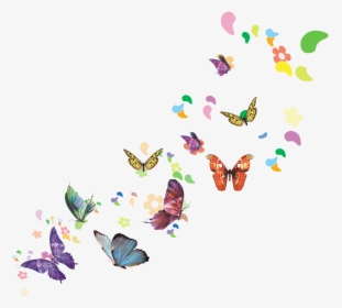 Download Spring Illustration - Illustration Of Butterfly Png, Transparent Png, Free Download