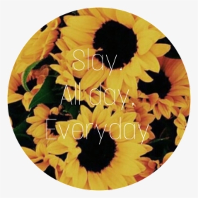 Just Keep Slaying 🌻💕☺️, HD Png Download, Free Download