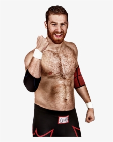 Sami Zayn Chest Hair, HD Png Download, Free Download