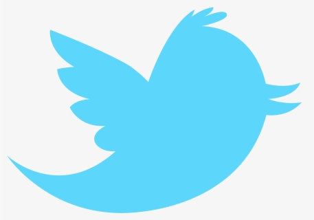 Thumb Image - Twitter Bird Logo Transparent, HD Png Download, Free Download