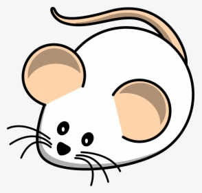 Mouse, White Mouse, Field, Animal, Rat, Mammal - White Mouse Clip Art, HD Png Download, Free Download