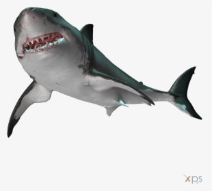 Normaldepthgws - Great White Shark, HD Png Download, Free Download
