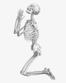 Skeleton, Skull, And Transparent Image - Praying Skeleton Png, Png Download, Free Download