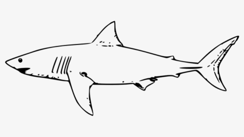 Shark, Fish, Great White Shark, Tiger Shark - Shark Outline, HD Png Download, Free Download