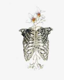 #skull #flowers #costillas #tumblr - Lungs With Flowers Drawing, HD Png Download, Free Download