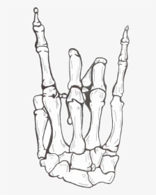 Drawing Human Skeleton Hand Bone - Skull Rock On Hand, HD Png Download, Free Download