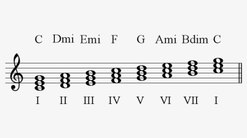 C Major Scale Diatonic Triads 1 - Major Scale Roman Numerals, HD Png Download, Free Download