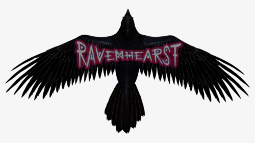 Raven Transparent Background, HD Png Download, Free Download