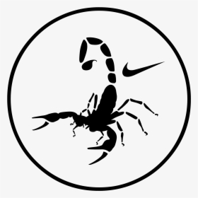 Nike Football Logo Png Transparent - Logo Nike Scorpion, Png Download, Free Download