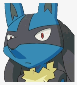 Lucario Pokemon Meme Funny Wat What Confused Suprised - Lucario Meme Face, HD Png Download, Free Download