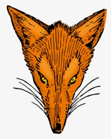 Red Fox Arctic Fox Gray Wolf Fox Television Stations - Drawing Fox, HD Png Download, Free Download
