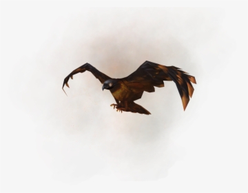 Runescape Lava Hawk Pet, HD Png Download, Free Download