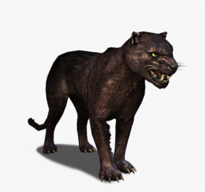 Black Panther, HD Png Download, Free Download