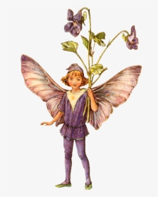 Flower Fairy Cicely Mary Barker, HD Png Download, Free Download