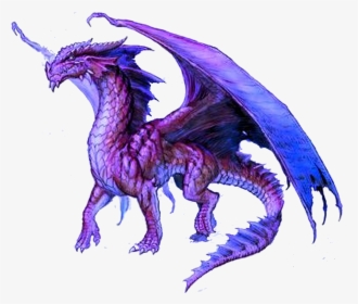 Purple Dragons, HD Png Download, Free Download
