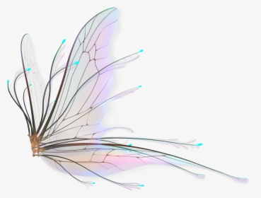 Fairy Wings Overlay Png, Transparent Png, Free Download