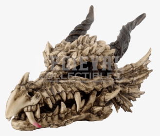 Dragon Skull Png - Dragon Skull, Transparent Png, Free Download