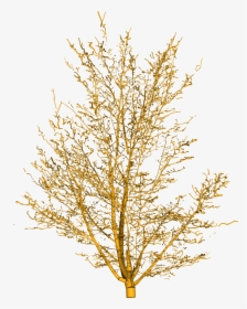 Tree Png Hd Image In Desert , Png Download - Yellow Branch Png, Transparent Png, Free Download