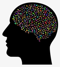 Clipart Human Brain, HD Png Download, Free Download
