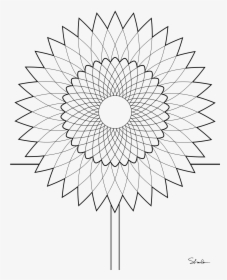Vector Line Sunflower - Fibonacci Flower Coloring Page, HD Png Download, Free Download