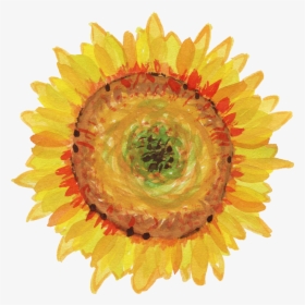 Sunflowers Png Corner - Transparent Watercolor Daisies Png, Png Download, Free Download
