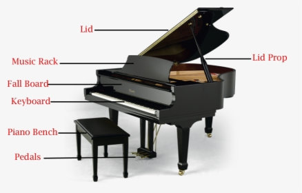 Parts Of Piano, HD Png Download, Free Download