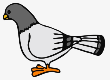 Pigeon Clipart Black And White, HD Png Download, Free Download