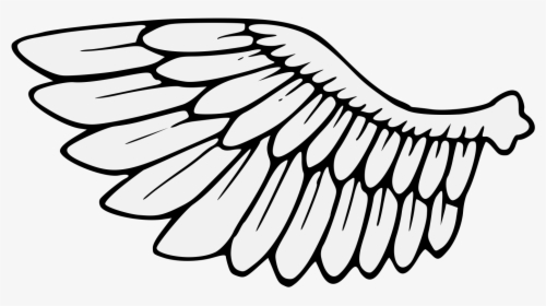 Transparent Wings Clipart Png - Wing Clipart Black And White, Png Download, Free Download