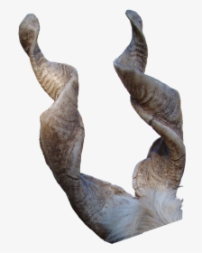 Transparent Metal Horns Png - Goat Horns Transparent, Png Download, Free Download