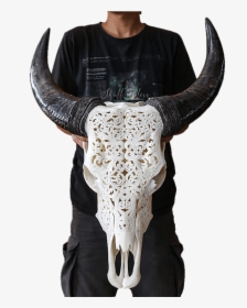 Carved Cow Skull Bali, HD Png Download, Free Download