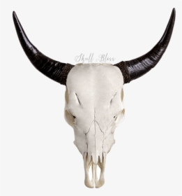 Transparent Longhorn Head Clipart - Animal Skulls With Designs, HD Png Download, Free Download