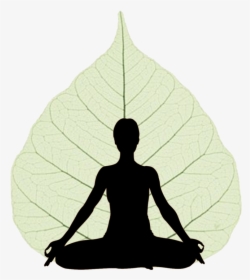 Meditation In 12 Steps, HD Png Download, Free Download