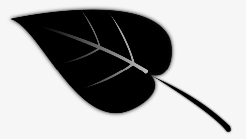 Leaf, Plant, Silhouette, Black, White - Leaf Silhouette Transparent Background, HD Png Download, Free Download