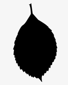 Leaf Silhouette Photography - Silhouette, HD Png Download, Free Download