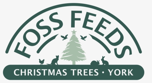 Christmas Trees York - Poster, HD Png Download, Free Download