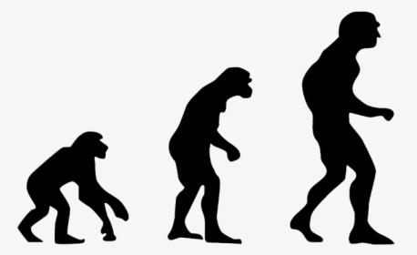 Evolution Of Humans, HD Png Download, Free Download