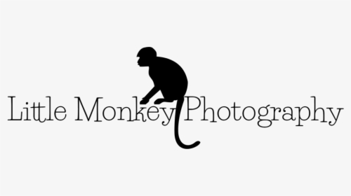 Monkey Silhouette Png, Transparent Png, Free Download