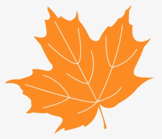 Maple Leaf Free Vector, HD Png Download, Free Download