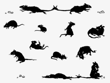 Drawing Art Rat - Silhouette, HD Png Download, Free Download