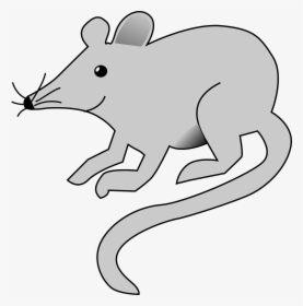 Cartoon Mouse Transparent Background, HD Png Download, Free Download